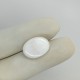 Mother Of Pearl 7.35 Ct Gem Quality Mother Of Pearl 7.35 Ct Gem Quality